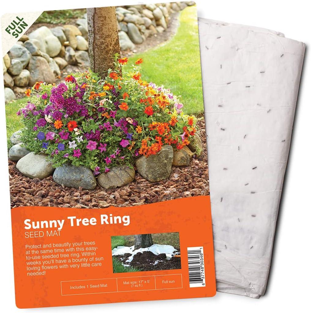 Best Garden Product – BloomingBulb Seed Mat Review – Easy to Plant