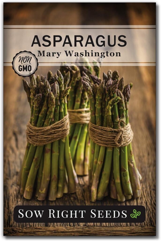 Best Asparagus Seeds – Sow Right Seeds – Mary Washington Review