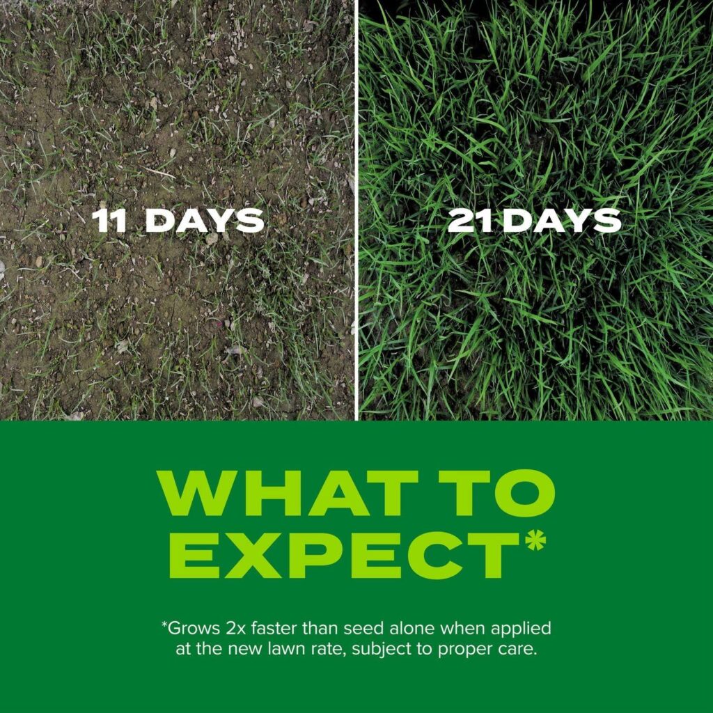 Best Lawn Care – Scotts Turf Builder Rapid Grass Fescue Mix Review