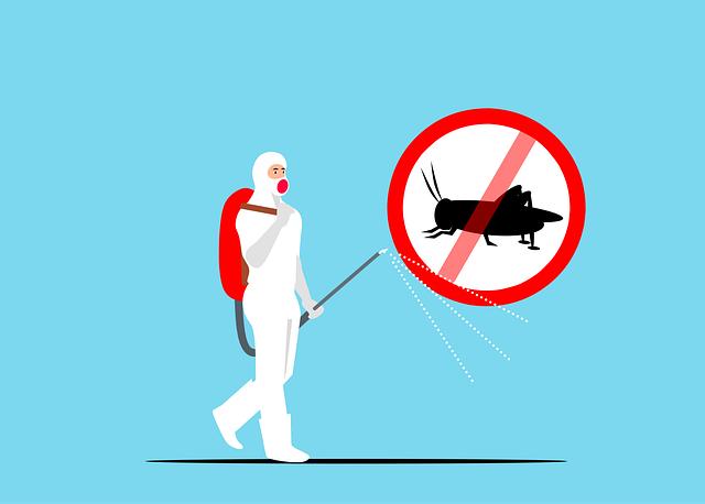 What Is the Best Treatment for Bed Bugs? Easy Solutions to Get Rid of Them Fast