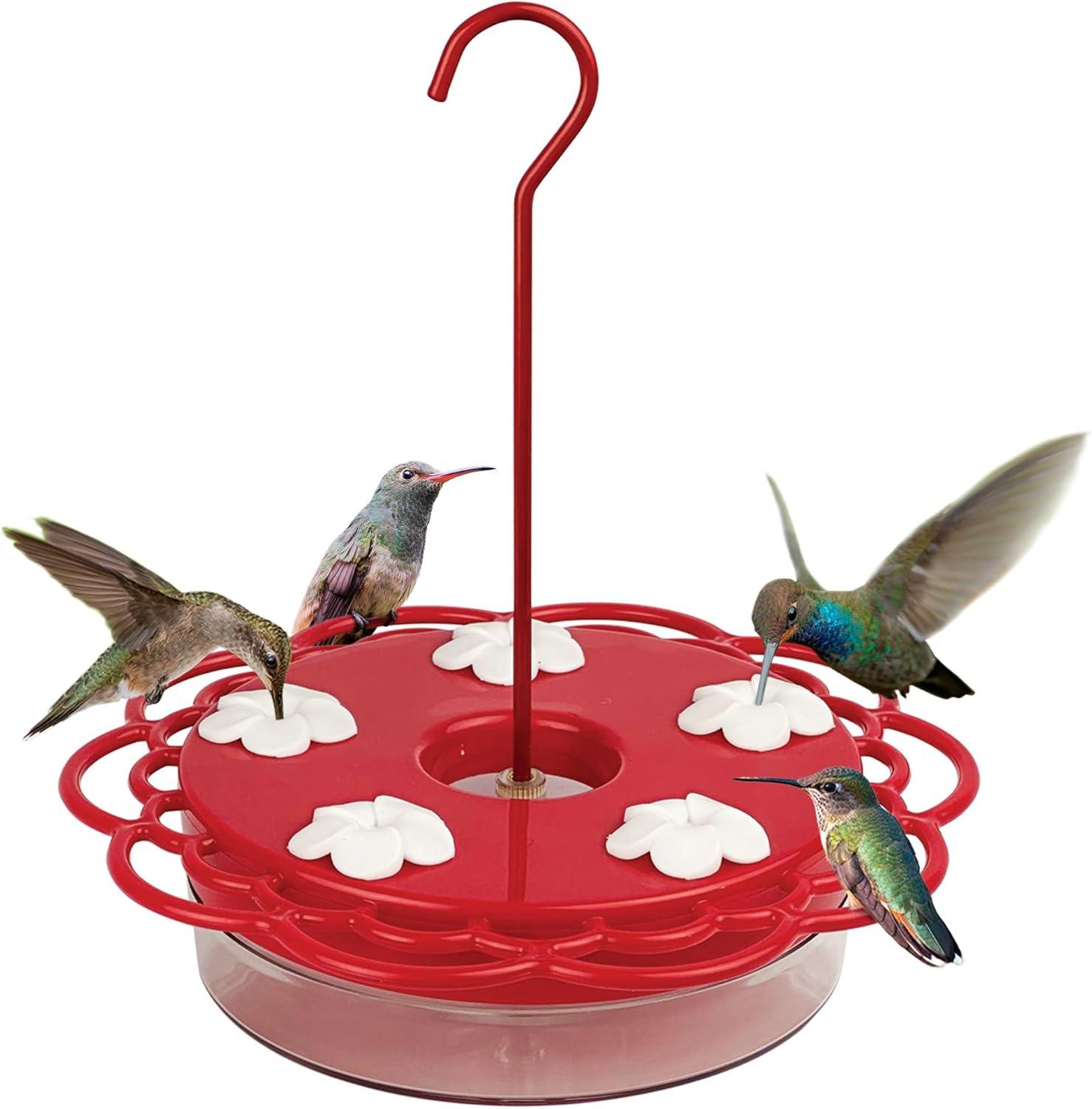Showdown: Aluminum Nectar Can (95% Less Waste) vs 5-Port Plastic Feeder