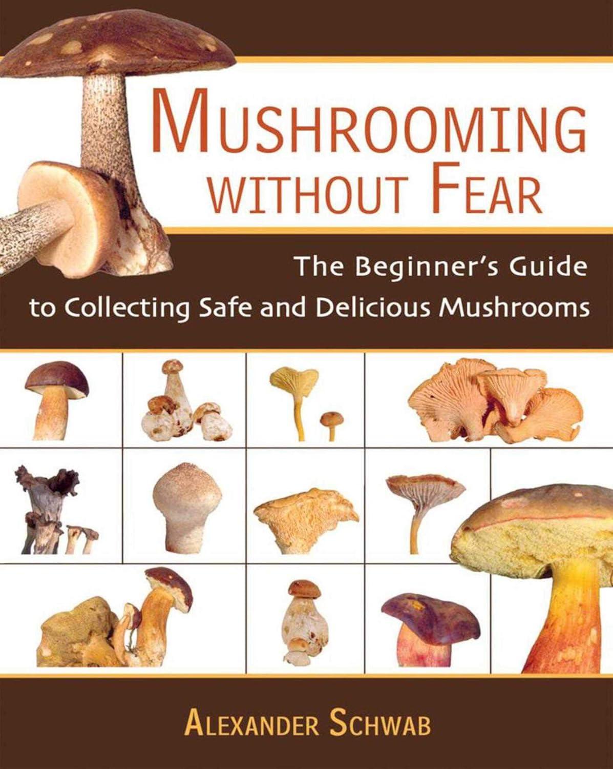 Mushroom Foraging Showdown: Surprising Safety Tested, Fear-Free Approach