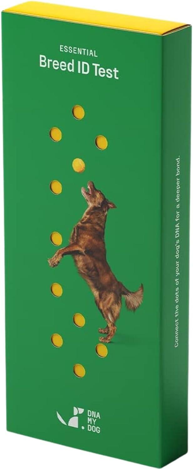 Dna My Dog Showdown: 350+ Breed Accuracy, Non-Invasive Swab, 2-Week Results in Pet Health