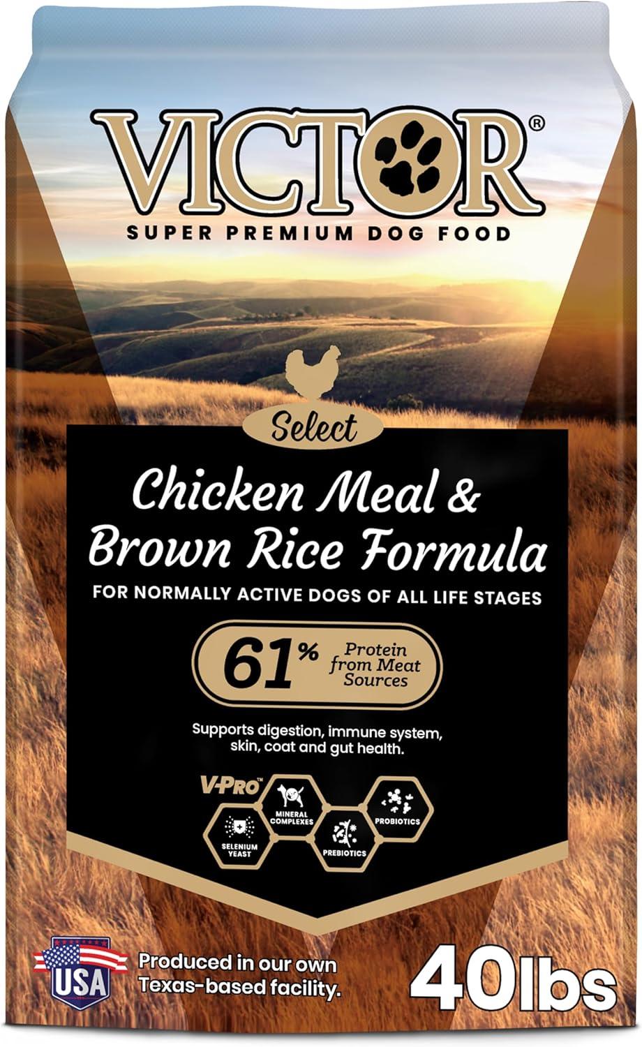 VICTOR vs. Standard Dog Food: Gluten-Free & Chicken Meal-Surprising Allergy Support for Active Dogs