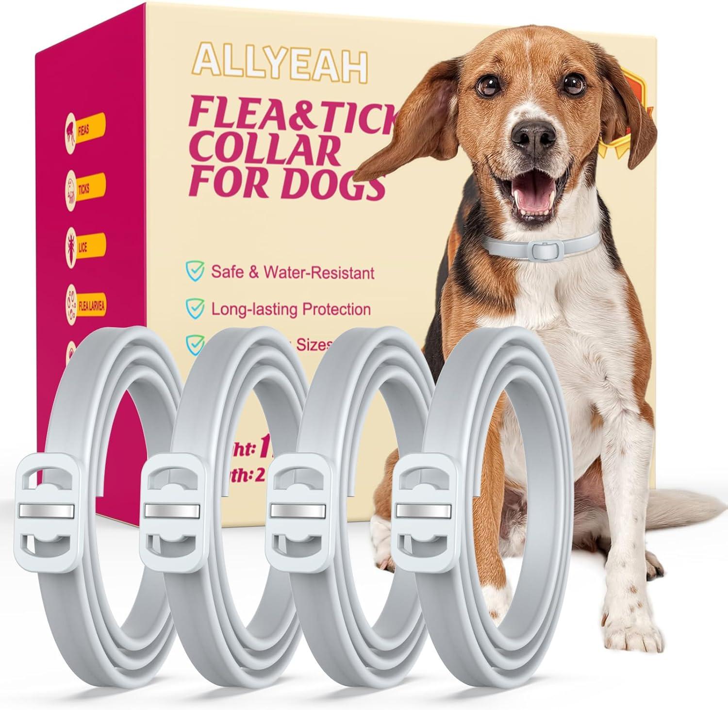 Surprising Tested Natural Flea & Tick Collars for Dogs
