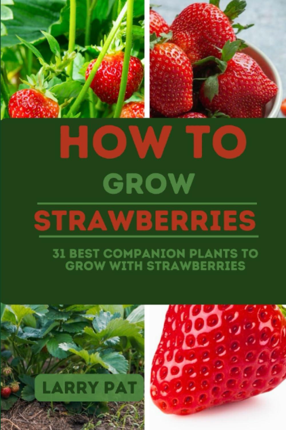 Strawberry Veg & Flowers Showdown: Tested Boosts (Pest-Repelling, Soil-Enriching)