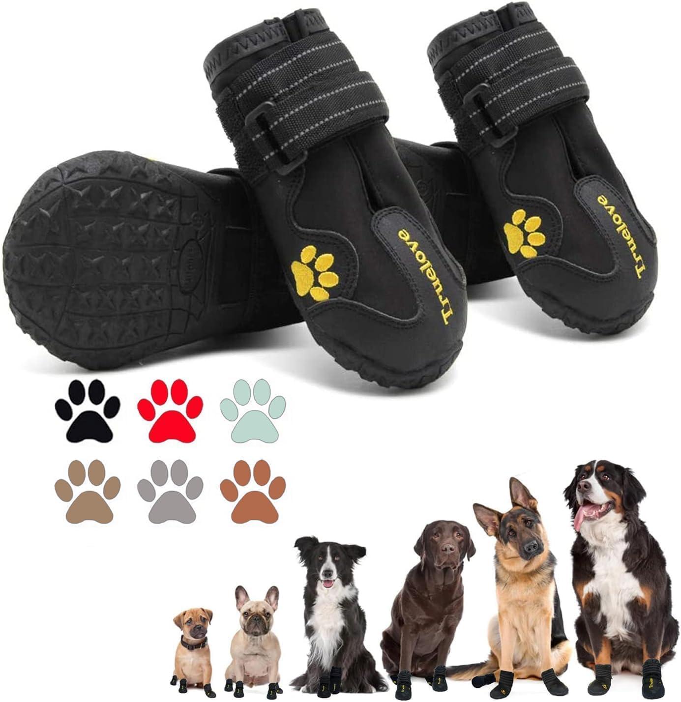 Tested Hiking Shoes: Paws Protected in Summer Showdown